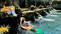 Ubud Tegalalang Private Car Tour
