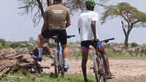 Kilimanjaro bike park safari