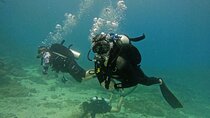 Abu Dhabi PADI Basic Scuba Diver Course