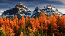 Larch Valley/Moraine Lake Shuttle Transfer from Banff and Canmore