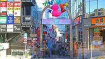 Private Tour in Tokyo with Shopping