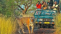 8 Days Golden Triangle with Ranthambhore Tour