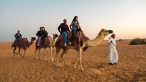 Private Dubai Desert Safari with BBQ Dinner and Shows