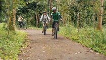 Kintamani to Ubud Downhill Bike Tour with Lunch