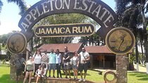 Private Appleton Estate Rum and Pelican Bar Tour from Montego Bay