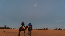From Marrakech: 2-Day Sahara Tour to Zagora & Ait Ben Haddou