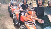 Discover the beauty DE the palm grove with quad bikes