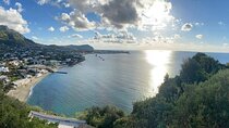 Ischia Island Small Group Tour by Minibus