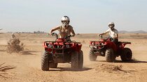 Desert Adventure with Quads, Camels, Moroccan Feast