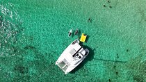 4 Hour Catamaran Experience in a Private 42 Lagoon