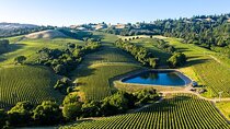 Private Enchanted Napa & Sonoma Wine Tour from Cupertino