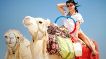 1-Hour Scenic Camel Ride Through the Desert - Sharm El Sheikh 