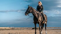 Horseback Riding 1 Hour in the Desert With Transfer :Marsa Alam