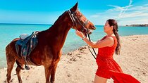 Explore Sharm El-Sheikh on Horseback or Camel: One Hour+Transfer