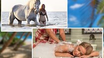 Horse Riding 2 Hours & Relaxation Turkish Bath & Sauna - Hurghada