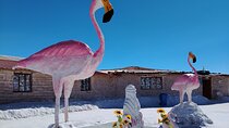 3-Day Tour in Salar de Uyuni 