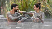 Hell's Gate Mud Spa & Thermal Park Group Day Tour from Auckland