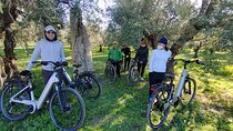 E-Bike Tour and Olive Oil Tasting in the Apulian Countryside