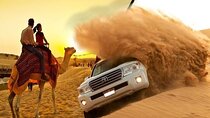Dubai Red Dunes Desert Safari, Camels, Stargazing & 5* BBQ