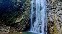 Swim Under the Waterfall and Hike the Jungle Trip from Medellín
