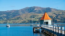 Akaroa and Banks Peninsula From Christchurch (Private Tour)