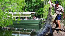  Hartley Crocodile Park with Kuranda, Skyrail Cableway and Train 