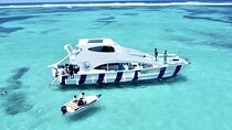 Puerto Plata Party Boat and Snorkeling Adventure from Cruise Port