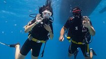 Intro Scuba Diving For Beginners With Lunch in Hurghada