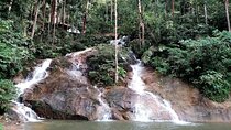 Rainforest-Cascading Waterfall, Batu Cave,Hotspring(Private Tour)