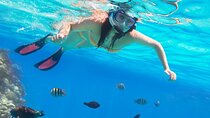 Private Abu Dabbab Over Day Snorkeling with Turtles - Hurghada