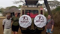Ngorongoro Crater Day | Full Day Game Drive