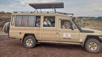 Day Tour to Ngorongoro Crater Sharing Safari