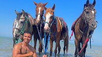 Hurghada: Arabian Desert and Sea Horseback Adventure