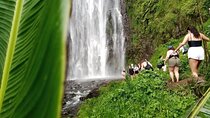 Materuni Waterfalls Hiking Tour with Coffee and Traditional Meal