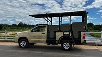 Private Full-Day Kruger National Park Safari