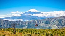 Mt Fuji and Hakone Private Day Tour