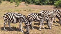 Full Day Accra Safari and Boat Cruise Private Tour