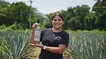 Premium Finca 18 Tequila Tour & Chocolate Pairing + Pickup Points