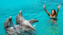 Dolphin Photo Session & Convenient Hotel Transfers - Hurghada