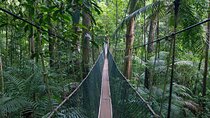Shared Taman Negara Nature Tour with Lata Berkoh Falls