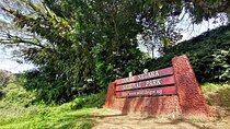 Shared Full Day Taman Negara Trekking Tour