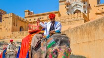 Private Same Day Jaipur tour from Delhi by Car