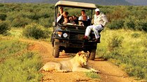 Full day KwaZulu Hluhluwe Imfolozi and ISimangaliso Wetland Tour