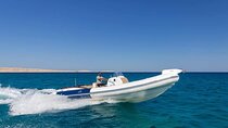 Private Dolphin tour for snorkeling by Speedboat from Hurghada 