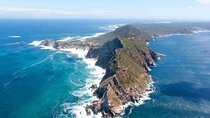 Private Cape of Good Hope, Penguins and Wine tasting Tour