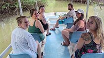 Manuel Antonio: Boat Mangrove Tour to See Animals 