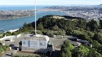 Private Dunedin City and Peninsula Scenery Day Tour up to 4