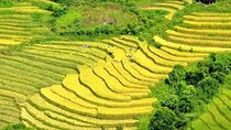 Authentic Sapa Trekking Adventure Tour With Ethnic Minority Guide