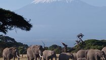 4 Days Safari Adventure in Amboseli and Tsavo