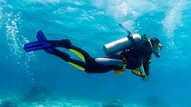 Daily Diving Experience with Lunch - Sharm El Sheikh